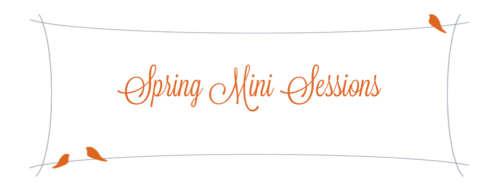 springminisessions