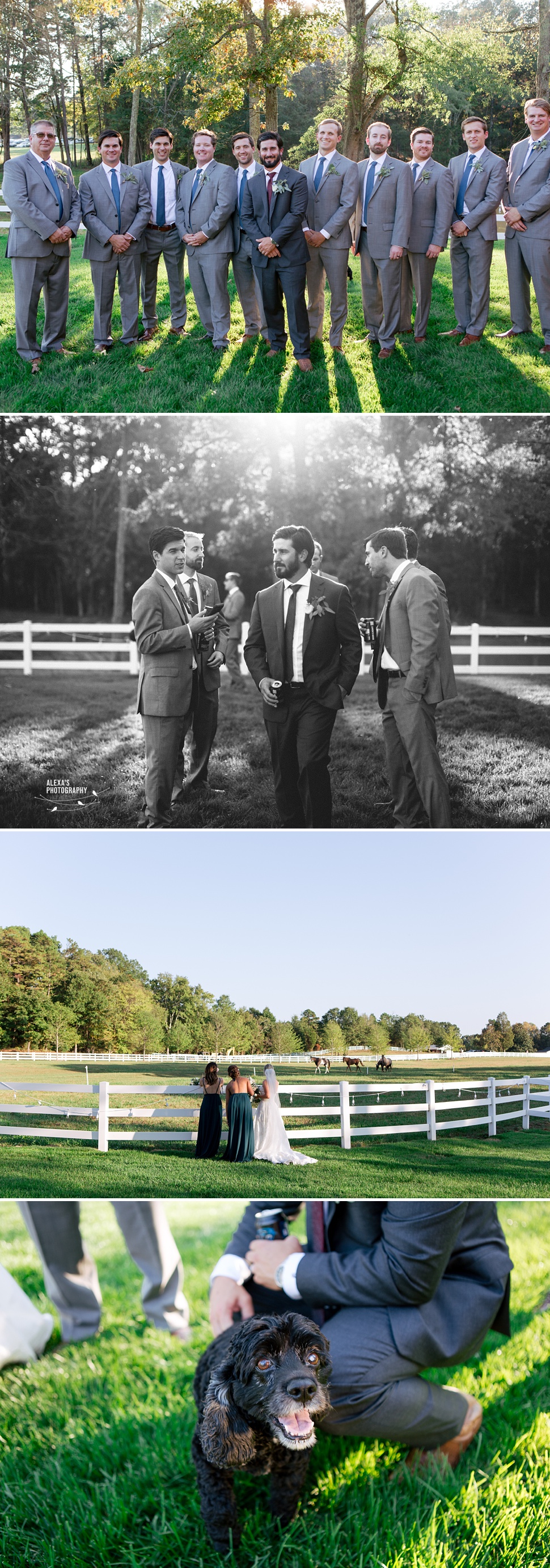 MeganDaniel-charlotte-wedding_019