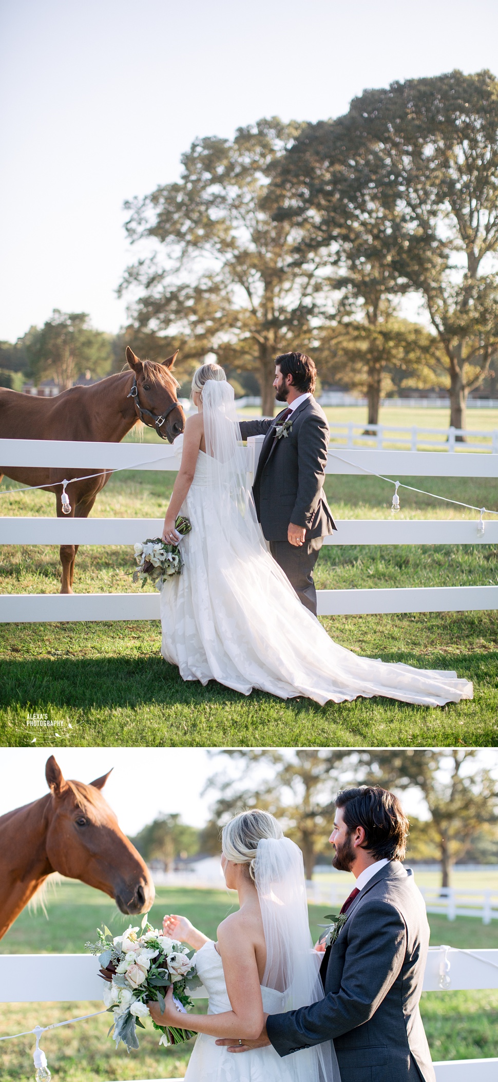 MeganDaniel-charlotte-wedding_023