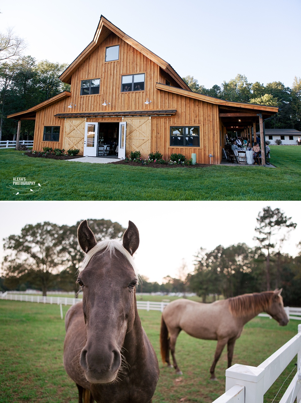 MeganDaniel-charlotte-wedding_025